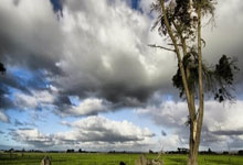 中甲联赛：广州豹2轮逆转江苏球队，石家庄惨败颓势明显