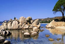 欧洲杯：荷兰击败奥地利